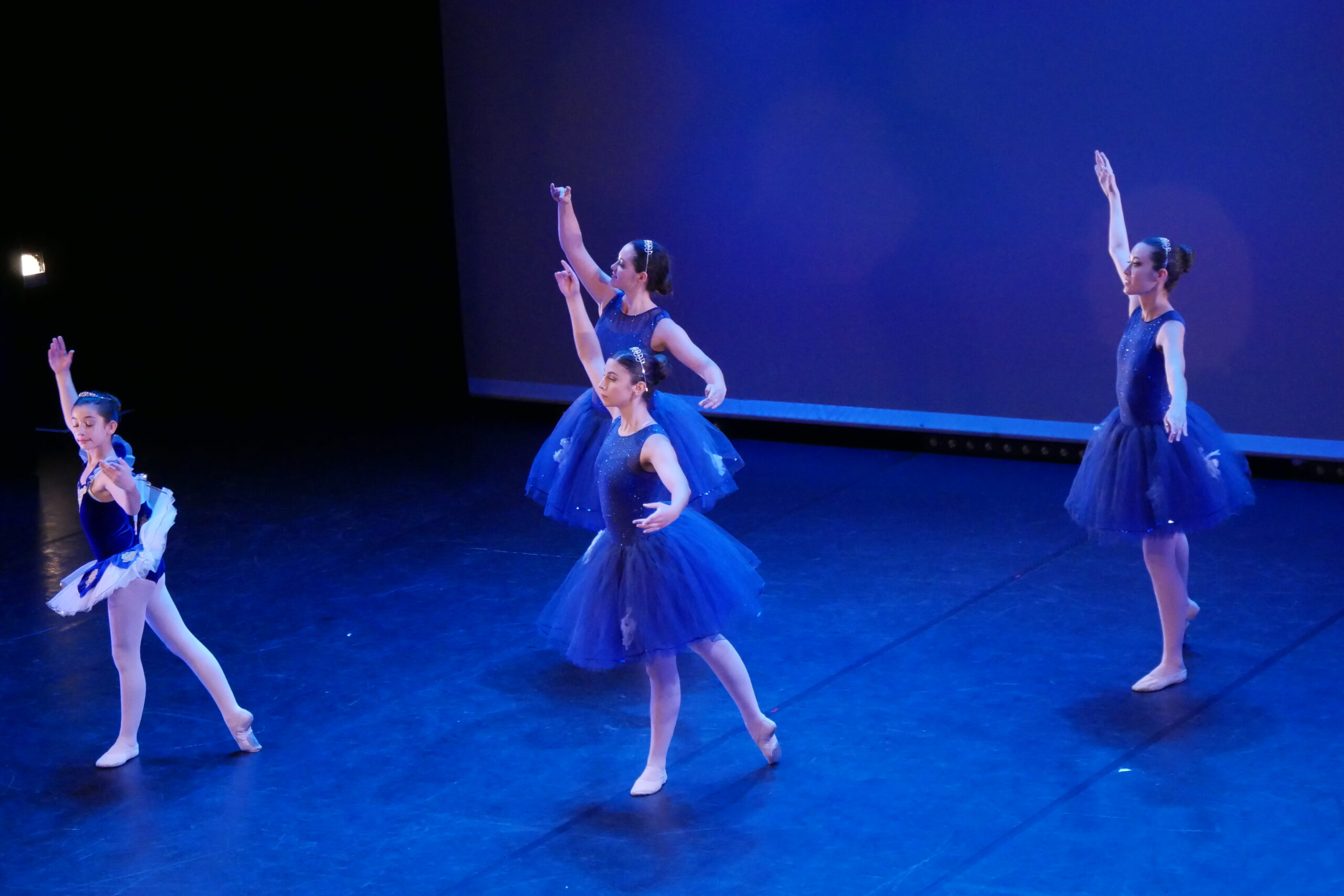 Spectacle de danse classique